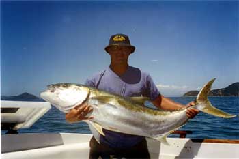 Coromandel Catching Kingfish