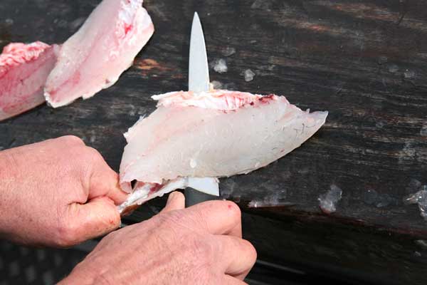 Skinning Knife Photo