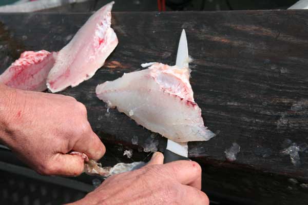 Fish Fillet Skinned Photo