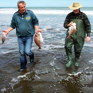 Paul and Bill with some of the snapper catch