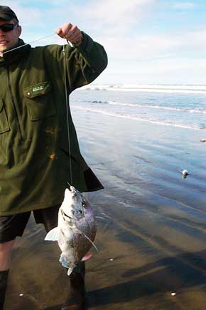 Snapper fishing at the beach