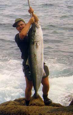 Catching Landbased Kingfish