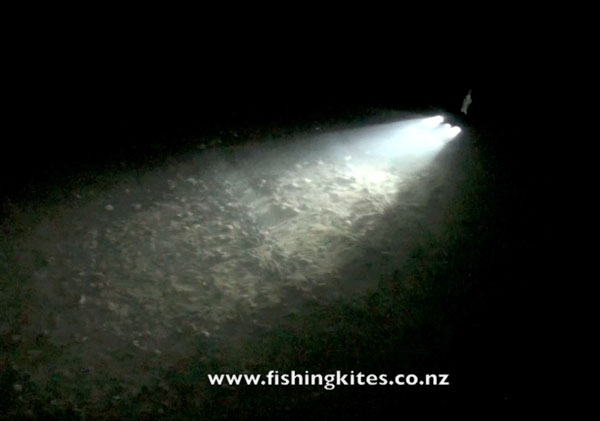 flounder gigging at night