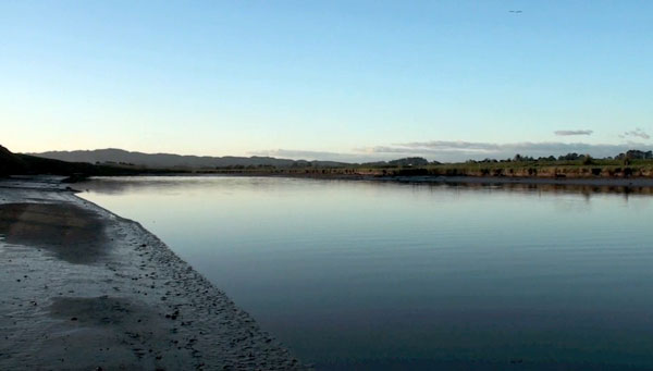 Flounder gigging spots New Zealand