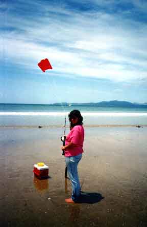 Pocket Sled Kite - Kite flying tips and techniques for small kite