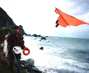 South Island Weather