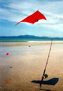Fishing Pole Kite Kits : 'Castakite