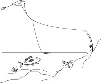 Sled Kite - How To Use Pocket Sled Kites For Fishing