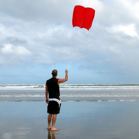 http://www.fishingkites.co.nz/kites-kite-designs/kite_pics/1013-Power3Flyingb.jpg