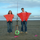 sled kites