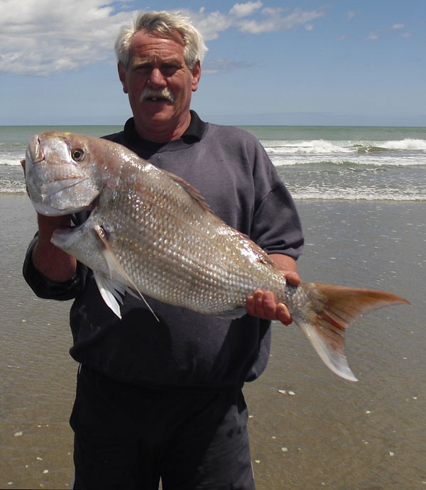 Fishing reports from Auckland to Northland