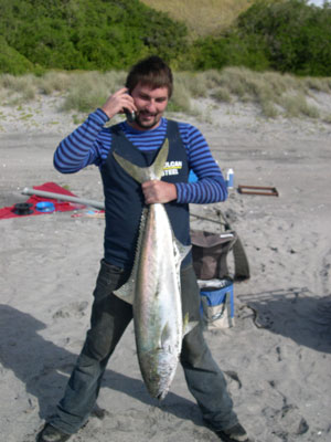 Big kingfish caught on a kite fishing rig