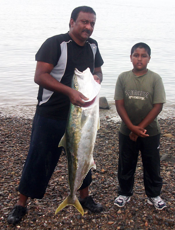 Big kingfish caught fishing at waiheke island