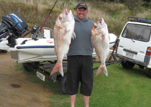 Huge Snapper from mokau and awakino beaches