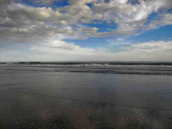 Muriwai beach sunrise