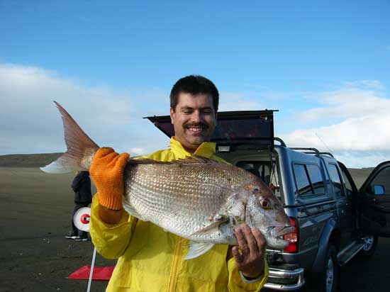 Muriwai beach snapper catch