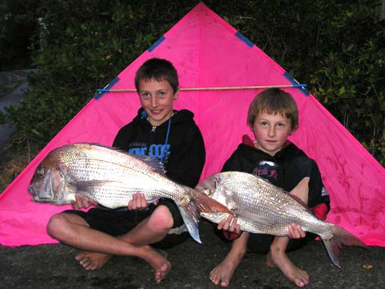 Two West Coast Snapper