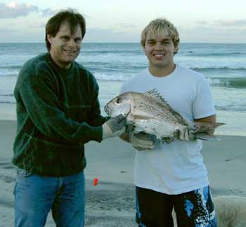 Waihi Fishing - Snapper Catch