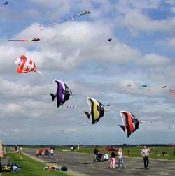 Fish Shaped Kites