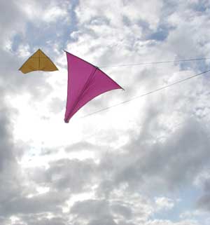 camera kites