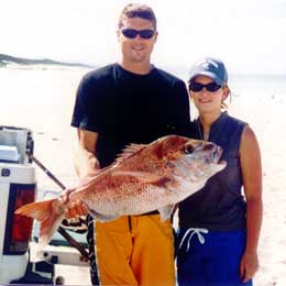 kite caught 15lb snapper