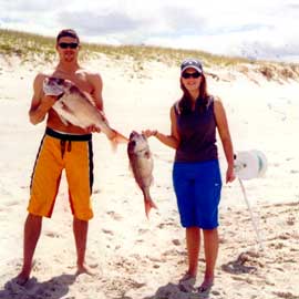 two big snapper