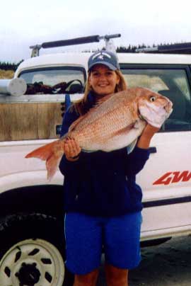 big snapper