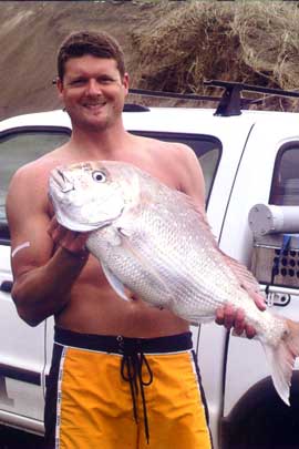 muriwai beach snapper