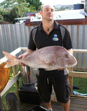 20 pound snapper