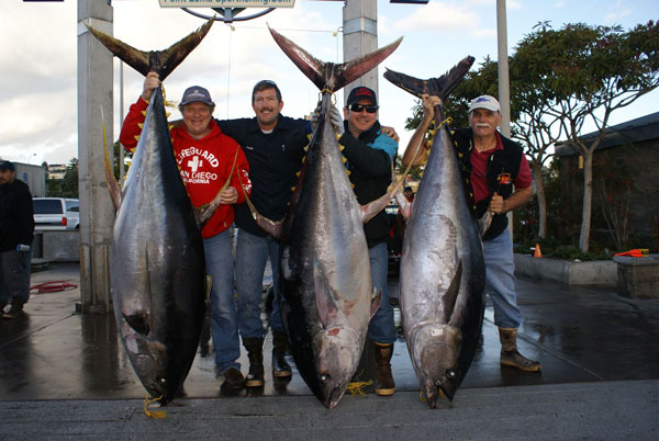 Bluefin Tuna caught on PFK spectra