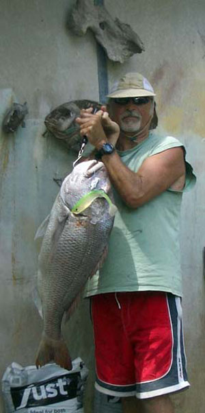 Big Snapper catch on soft baits