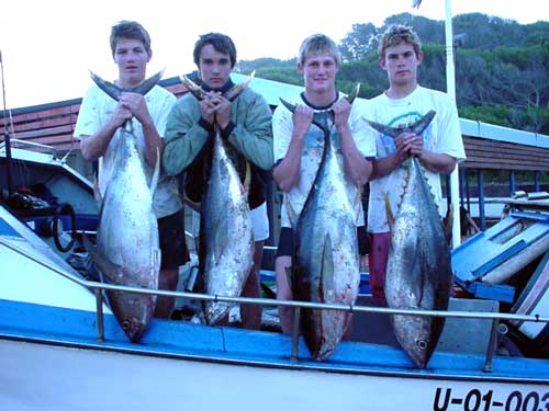 fishing tuna pictures