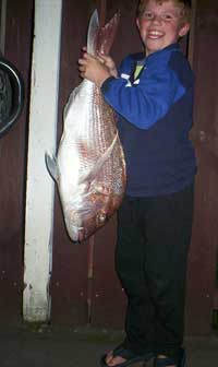 Big Snapper