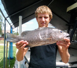 Florida Flounder Gigging for Doormat Flounder, New Zealand Fishing Reports