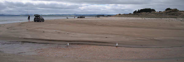 Kite fishers on Kite fishing at Tokerau Beach