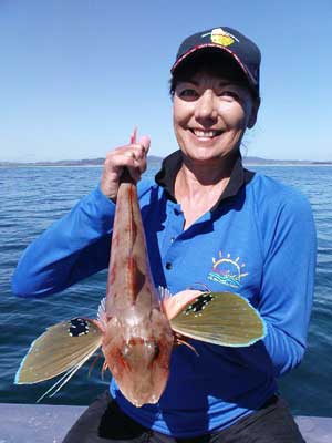 Fishing by the Frog at Whangarei Heads