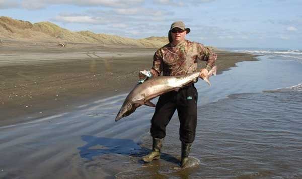 Catching sharks with kites