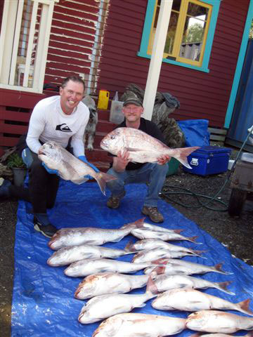 Big snapper from Mokau