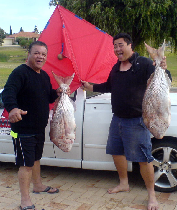 Fishing reports from Auckland to Northland