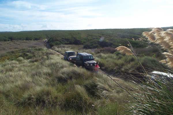 Offroad 4X4s Driving On Beach Sand