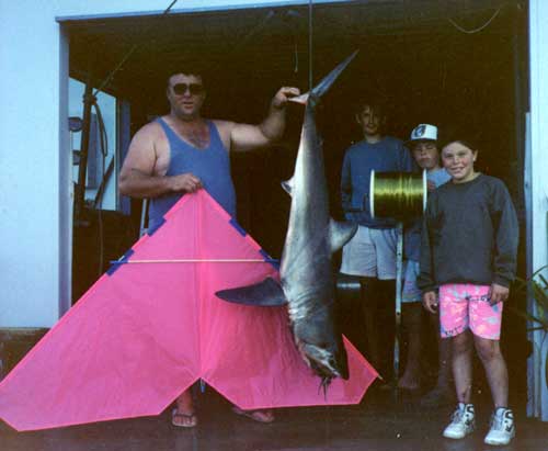 great white shark photos